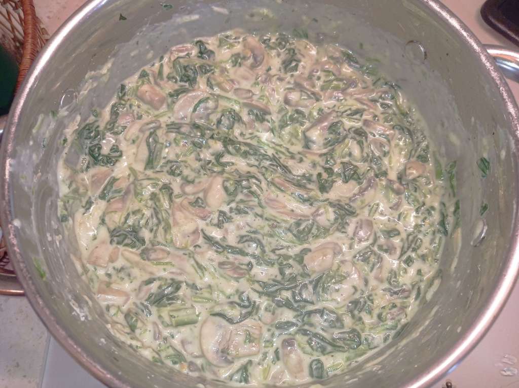 Close-up of a creamy spinach and mushroom dish topped with grated Parmesan cheese, served in a stainless steel pot on a stovetop