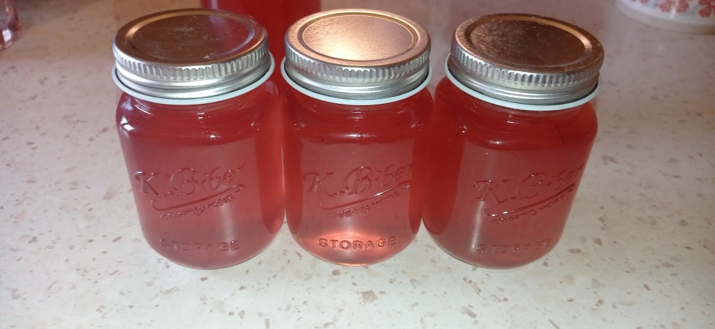 Three glass jars filled with homemade fir syrup, sealed and ready for winter storage