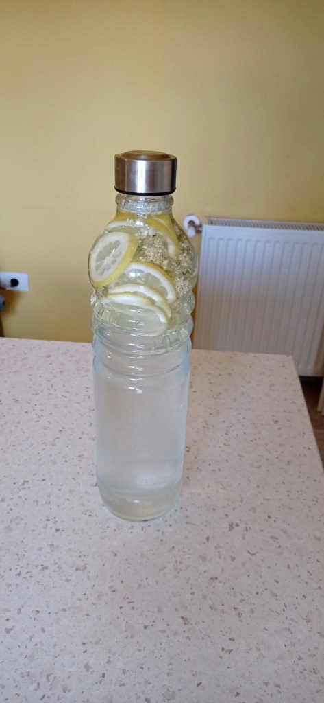 A bottle of homemade socată with lemon slices and elderflowers, ready to be served