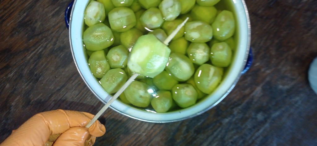 Gloved hand piercing a peeled green walnut with a skewer above a pot of soaking walnuts