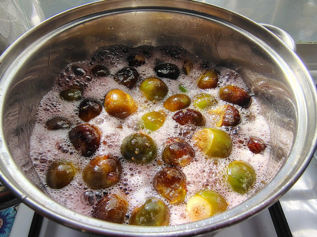 Whole figs starting to boil and puff up in the sugar syrup during the first stage of cooking fig jam.