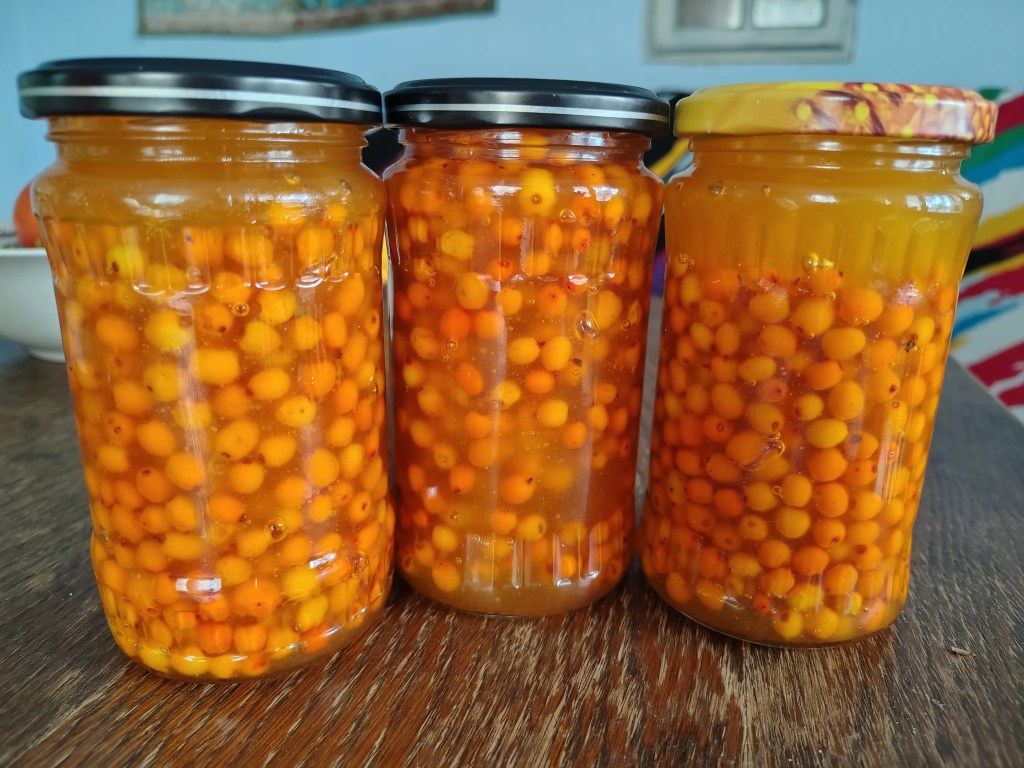 Three jars filled with fresh sea buckthorn berries covered in honey, showing the final mixture after preparation, ready for maceration.
