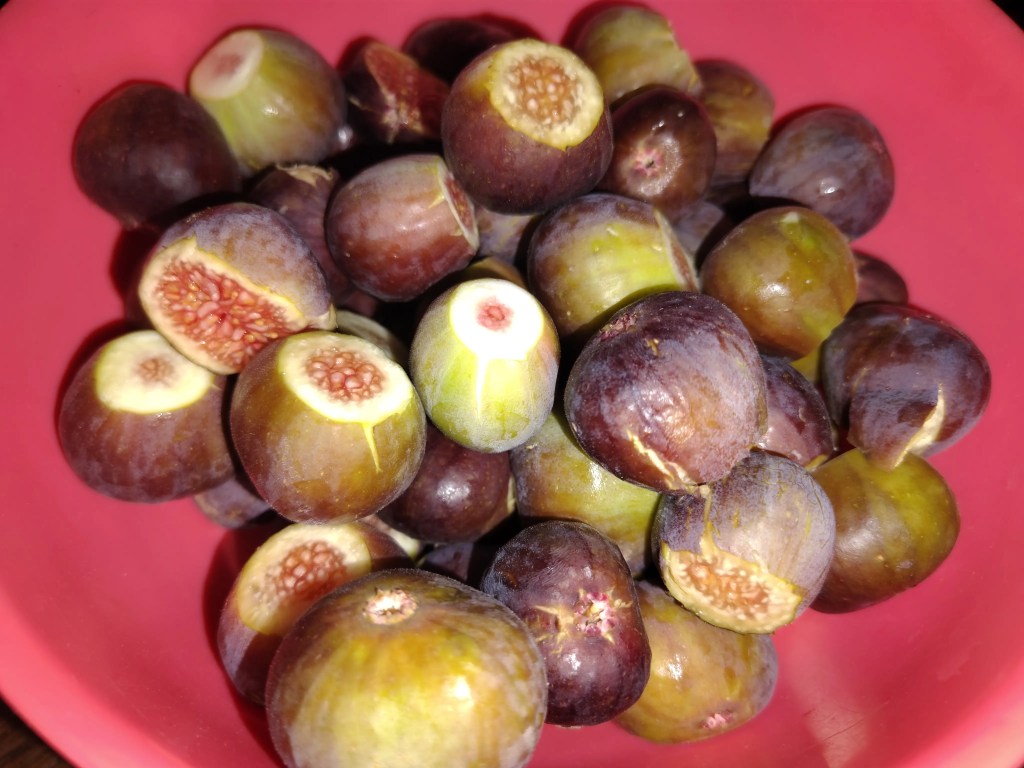 Bowl of freshly cleaned and trimmed figs, ready to be used for homemade fig jam.