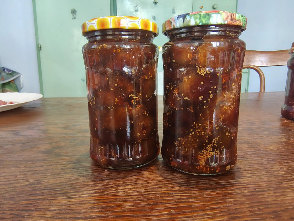 Two jars filled with homemade fig jam, showcasing whole figs preserved in thick syrup.