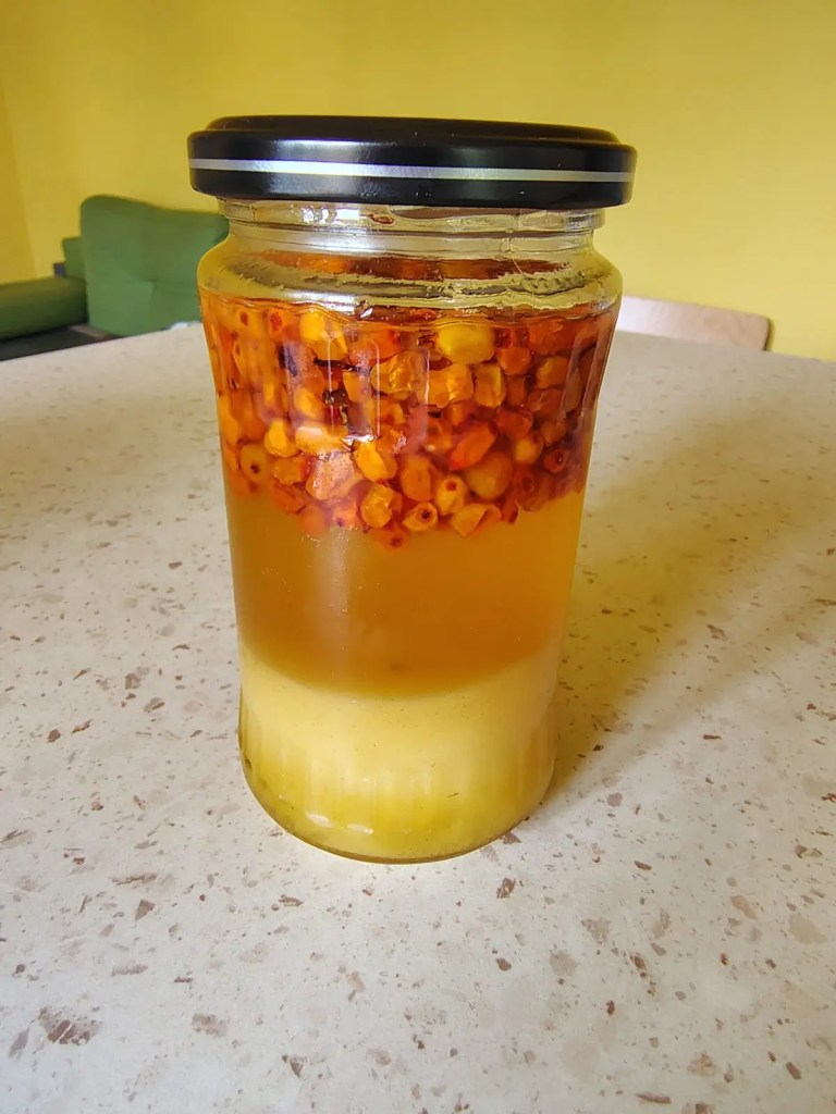 A jar of sea buckthorn and honey after one month of maceration, showing natural stratification with berries on top and settled pulp at the bottom.