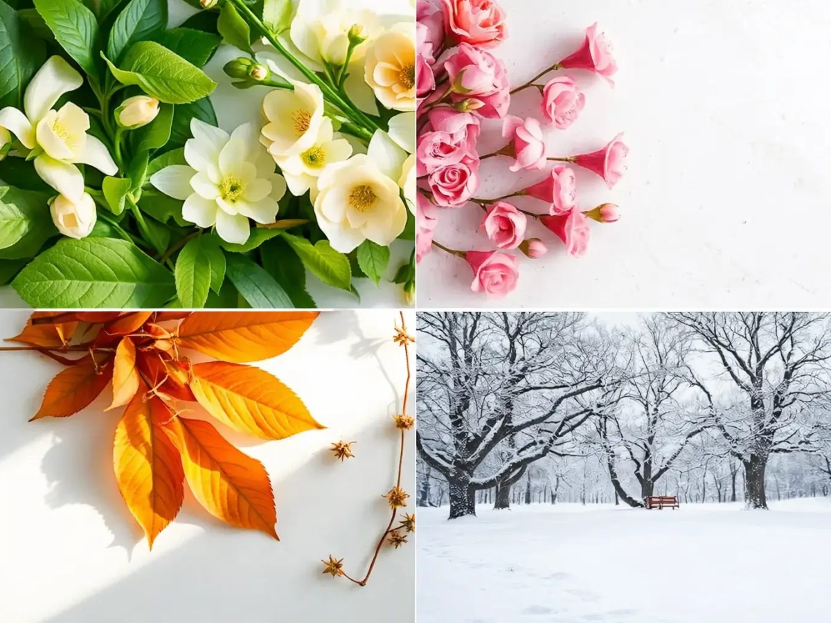 🌿 The Year You Return to Yourself: A Manifesto for Living In&nbsp;Season